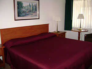 Room with king bed