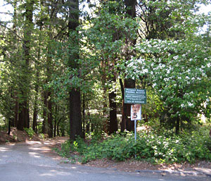 Prospect Avenue Fishing Access