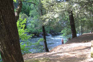 Waters at Prospect Avenue Fishing Access